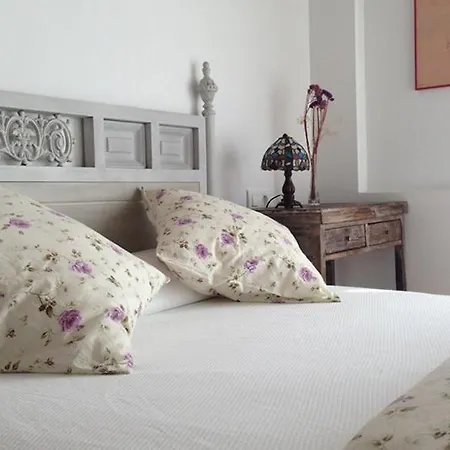 萨尔瓦乡村酒店 酒店 Salvatierra de Tormes