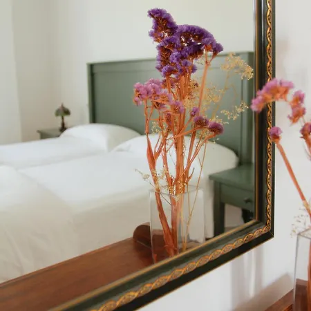 萨尔瓦乡村酒店